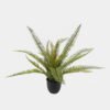 Artificial Table Plants 50*50*53cm Plant in PP pot /21 lvs GS-57624001 2025Jan 3,000+ sqm showroom with thousands of artificial flowers, plants & trees ready for global sourcing.