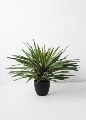 Artificial Table Plants 60*60*49cm Sisal in PP pot GS-03324045-G2 2024Dec YeahFlower is one of Chinese leading OEM manufacturers and exporters , supplying the silk flowers, wholesale artificial trees