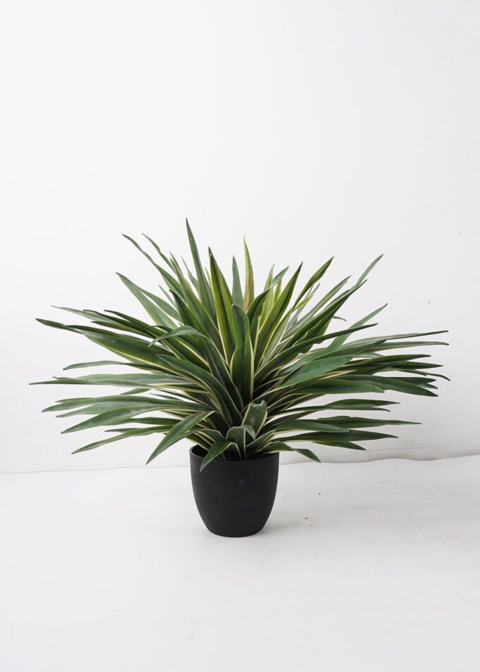 Artificial Table Plants 60*60*49cm Sisal in PP pot GS-03324045-G2 2024Dec YeahFlower is one of Chinese leading OEM manufacturers and exporters , supplying the silk flowers, wholesale artificial trees