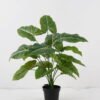 Artificial Table Plants 50*50*52cm Taro in PP pot GS-03324044 2024Dec YeahFlower is one of Chinese leading OEM manufacturers and exporters , supplying the silk flowers, wholesale artificial trees