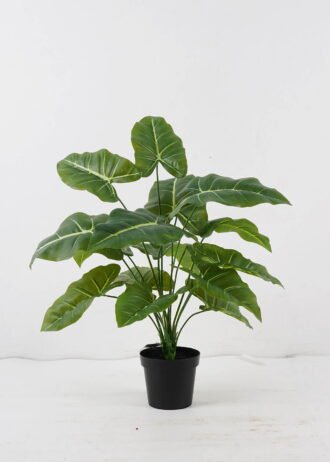Artificial Table Plants 50*50*52cm Taro in PP pot GS-03324044 2024Dec YeahFlower is one of Chinese leading OEM manufacturers and exporters , supplying the silk flowers, wholesale artificial trees