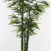Artificial Tree 80*40*210cm Bamboo  *3 in PP pot/750 lvs GS-30424071 2024Dec YeahFlower is one of Chinese leading OEM manufacturers and exporters , supplying the silk flowers, wholesale artificial trees