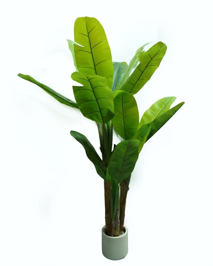 Artificial Tree 100*100*180cm   Banana tree *3 in PP pot/18 lvs GS-30424076 2024Dec YeahFlower is one of Chinese leading OEM manufacturers and exporters , supplying the silk flowers, wholesale artificial trees
