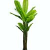 Artificial Tree 110*110*250cm   Banana tree*3 in PP pot/9 lvs GS-30424074KD 2024Dec YeahFlower is one of Chinese leading OEM manufacturers and exporters , supplying the silk flowers, wholesale artificial trees