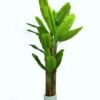 Artificial Tree 120*120*300cm   Banana tree *4 in PP pot/30 lvs GS-30424075KD 2024Dec YeahFlower is one of Chinese leading OEM manufacturers and exporters , supplying the silk flowers, wholesale artificial trees