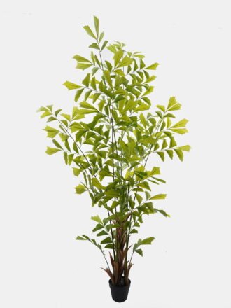 Artificial Tree 120*90*280cm Caryota ochlandra *3 in PP pot GS-76724002KD 2025Feb 3,000+ sqm showroom with thousands of artificial flowers, plants & trees ready for global sourcing.
