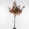 Artificial Tree 90*70*180cm Hydrangea tree GS-15424051CT-K1 2024Dec YeahFlower is one of Chinese leading OEM manufacturers and exporters , supplying the silk flowers, wholesale artificial trees