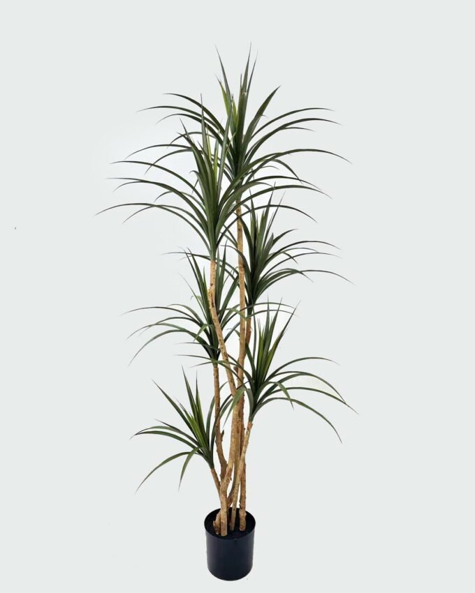 Artificial Tree 90*80*180cm Ironleaf tree *6 in PP pot/147 lvs GS-59524063 2025Jan YeahFlower is one of Chinese leading OEM manufacturers and exporters , supplying the silk flowers, wholesale artificial trees