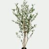 Artificial Tree Olive tree 3 in PP pot 600 lvs GS-59524060 Artificial Tree 65*55*180cm Olive tree *3 in PP pot/600 lvs GS-59524060 2025Jan YeahFlower is one of Chinese leading OEM manufacturers and exporters , supplying the silk flowers, wholesale artificial trees