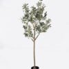 Artificial Tree 47*25*150cm Olive tree in PP pot/1290 lvs GS-14524037 2024Dec YeahFlower is one of Chinese leading OEM manufacturers and exporters , supplying the silk flowers, wholesale artificial trees