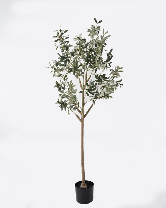 Artificial Tree 47*25*150cm Olive tree in PP pot/1290 lvs GS-14524037 2024Dec YeahFlower is one of Chinese leading OEM manufacturers and exporters , supplying the silk flowers, wholesale artificial trees