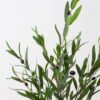 Artificial Tree Olive tree in PP pot GS-39124009_5 Artificial Tree 60*30*80cm Olive tree in PP pot GS-39124009 2024Dec YeahFlower is one of Chinese leading OEM manufacturers and exporters , supplying the silk flowers, wholesale artificial trees