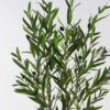 Artificial Tree 61*61*143cm Olive tree in PP pot GS-39124010KD 2024Dec YeahFlower is one of Chinese leading OEM manufacturers and exporters , supplying the silk flowers, wholesale artificial trees