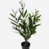 Artificial Tree 32*28*55cm Olive tree in PP pot GS-39124012 2024Dec YeahFlower is one of Chinese leading OEM manufacturers and exporters , supplying the silk flowers, wholesale artificial trees
