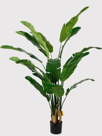 Artificial Tree 90*90**210cm Sterlitzia *6 in PP pot/17 lvs GS-76724004 2025Feb 3,000+ sqm showroom with thousands of artificial flowers, plants & trees ready for global sourcing.