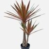 Artificial Tree Yucca phoenivosa 2 in PP pot 44 lvs GS-59524055 Artificial Tree 70*30*90cm Yucca phoenivosa *2 in PP pot/44 lvs GS-59524055 2025Jan YeahFlower is one of Chinese leading OEM manufacturers and exporters , supplying the silk flowers, wholesale artificial trees
