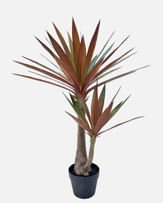 Artificial Tree Yucca phoenivosa 2 in PP pot 44 lvs GS-59524055 Artificial Tree 70*30*90cm Yucca phoenivosa *2 in PP pot/44 lvs GS-59524055 2025Jan YeahFlower is one of Chinese leading OEM manufacturers and exporters , supplying the silk flowers, wholesale artificial trees