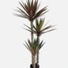 Artificial Tree 60*27*120cm Yucca phoenivosa *3 in PP pot/68 lvs GS-59524054 2025Jan YeahFlower is one of Chinese leading OEM manufacturers and exporters , supplying the silk flowers, wholesale artificial trees