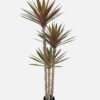 Artificial Tree 60*35*150cm Yucca phoenivosa *3 in PP pot/96 lvs GS-59524053 2025Jan 3,000+ sqm showroom with thousands of artificial flowers, plants & trees ready for global sourcing.