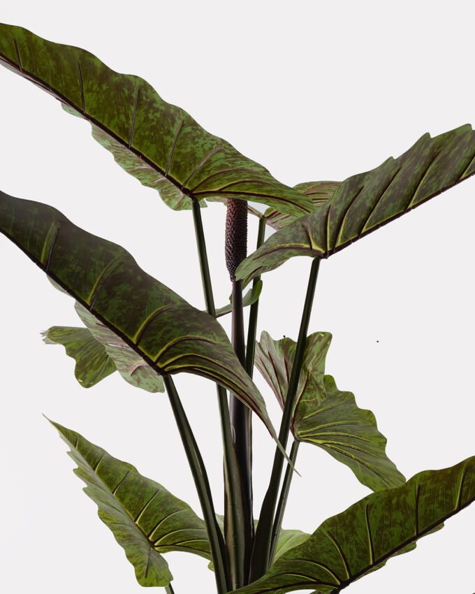 Artificial Tree m Rainbow Tree in PP pot 10 lvs GS-30424079KD_9 Artificial Tree 140*120*230m Rainbow Tree in PP pot/10 lvs GS-30424079KD 2024Dec YeahFlower is one of Chinese leading OEM manufacturers and exporters , supplying the silk flowers, wholesale artificial trees