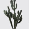Artificial succulent 78*80*168cm  Cactus in PP pot GS-51424013KD 2025Jan YeahFlower is one of Chinese leading OEM manufacturers and exporters , supplying the silk flowers, wholesale artificial trees