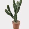 Artificial succulent 25*16*47cm  Cactus in PP pot GS-51424016 2025Jan YeahFlower is one of Chinese leading OEM manufacturers and exporters , supplying the silk flowers, wholesale artificial trees