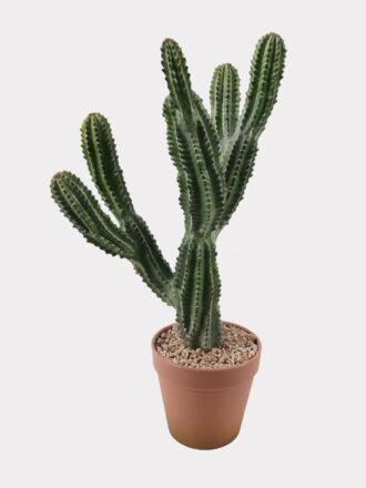 Artificial succulent 33*23*52cm  Cactus in PP pot GS-51424017 2025Jan 3,000+ sqm showroom with thousands of artificial flowers, plants & trees ready for global sourcing.