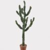 Artificial succulent 47*44*127cm  Cactus in PP pot GS-51424020 2025Jan YeahFlower is one of Chinese leading OEM manufacturers and exporters , supplying the silk flowers, wholesale artificial trees
