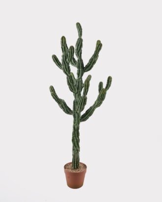 Artificial succulent 47*44*127cm  Cactus in PP pot GS-51424020 2025Jan YeahFlower is one of Chinese leading OEM manufacturers and exporters , supplying the silk flowers, wholesale artificial trees