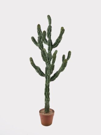 Artificial succulent 42*39*112cm Cactus in PP pot GS-51424023KD 2025Jan 3,000+ sqm showroom with thousands of artificial flowers, plants & trees ready for global sourcing.