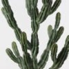 Artificial succulent 47*44*127cm  Cactus in PP pot GS-51424020 2025Jan YeahFlower is one of Chinese leading OEM manufacturers and exporters , supplying the silk flowers, wholesale artificial trees