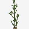 Artificial succulent Cactus in PP pot GS-51424024KD Artificial succulent 43*41*134cm Cactus in PP pot GS-51424024KD 2025Jan YeahFlower is one of Chinese leading OEM manufacturers and exporters , supplying the silk flowers, wholesale artificial trees