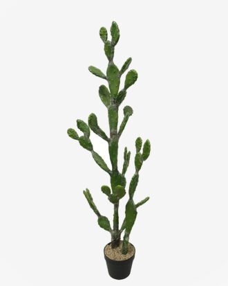 Artificial succulent 43*41*134cm Cactus in PP pot GS-51424024KD 2025Jan YeahFlower is one of Chinese leading OEM manufacturers and exporters , supplying the silk flowers, wholesale artificial trees