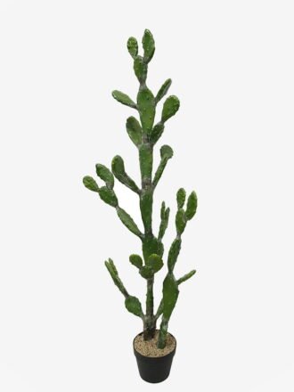 Artificial succulent 42*39*117cm Cereus in Cement pot GS-51424025KD 2025Jan 3,000+ sqm showroom with thousands of artificial flowers, plants & trees ready for global sourcing.
