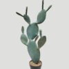 Artificial succulent 42*61*103cm Cactus in PP pot GS-51424045KD 2025Jan YeahFlower is one of Chinese leading OEM manufacturers and exporters , supplying the silk flowers, wholesale artificial trees