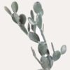Artificial succulent 140*75*145cm Cactus on the iron plate GS-51424043KD 2025Jan YeahFlower is one of Chinese leading OEM manufacturers and exporters , supplying the silk flowers, wholesale artificial trees