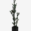 Artificial succulent 43*41*136cm Cereus in Cement pot GS-51424026KD 2025Jan YeahFlower is one of Chinese leading OEM manufacturers and exporters , supplying the silk flowers, wholesale artificial trees