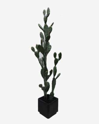 Artificial succulent 43*41*136cm Cereus in Cement pot GS-51424026KD 2025Jan YeahFlower is one of Chinese leading OEM manufacturers and exporters , supplying the silk flowers, wholesale artificial trees