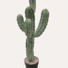 Artificial succulent 25*31*79cm Cereus in PP pot GS-51424039 2025Jan YeahFlower is one of Chinese leading OEM manufacturers and exporters , supplying the silk flowers, wholesale artificial trees
