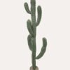 Artificial succulent 31*41*160cm Cereus in PP pot GS-51424040KD 2025Jan YeahFlower is one of Chinese leading OEM manufacturers and exporters , supplying the silk flowers, wholesale artificial trees