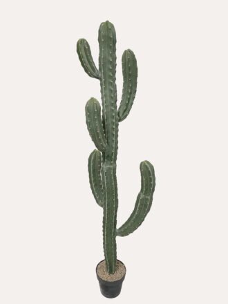 Artificial succulent 34*25*105cm Cereus in PP pot GS-51424041 2025Jan 3,000+ sqm showroom with thousands of artificial flowers, plants & trees ready for global sourcing.