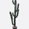 Artificial succulent 34*25*105cm Cereus in PP pot GS-51424041 2025Jan YeahFlower is one of Chinese leading OEM manufacturers and exporters , supplying the silk flowers, wholesale artificial trees