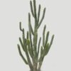 Artificial succulent 82*90*160cm Cereus on the iron plate GS-51424046KD 2025Jan YeahFlower is one of Chinese leading OEM manufacturers and exporters , supplying the silk flowers, wholesale artificial trees