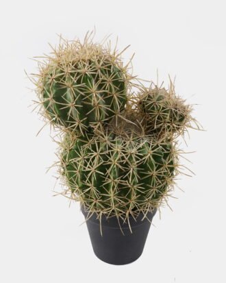 Artificial succulent 19*24*32cm Echinopsis tubiflora *2 in PP pot GS-51424028 2025Jan YeahFlower is one of Chinese leading OEM manufacturers and exporters , supplying the silk flowers, wholesale artificial trees