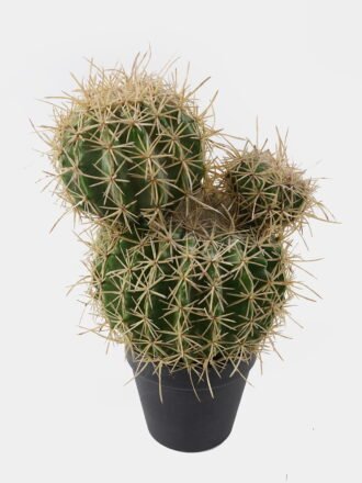 Artificial succulent 38*40*45cm Echinopsis tubiflora in PP pot GS-51424029 2025Jan 3,000+ sqm showroom with thousands of artificial flowers, plants & trees ready for global sourcing.