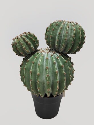 Artificial succulent 17*22cm Echinopsis tubiflora in PP pot GS-51424038 2025Jan 3,000+ sqm showroom with thousands of artificial flowers, plants & trees ready for global sourcing.