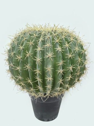Artificial succulent 27*33*43cm Echinopsis tubiflora *2 in PP pot GS-51424033 2025Jan 3,000+ sqm showroom with thousands of artificial flowers, plants & trees ready for global sourcing.