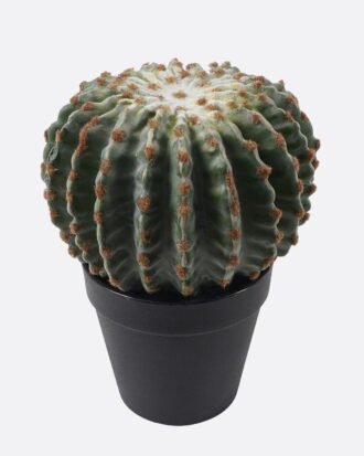 Artificial succulent 17*22cm Echinopsis tubiflora in PP pot GS-51424038 2025Jan YeahFlower is one of Chinese leading OEM manufacturers and exporters , supplying the silk flowers, wholesale artificial trees
