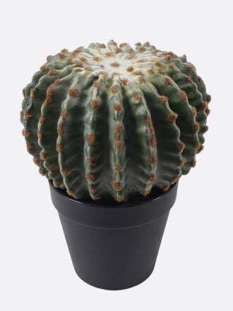 Artificial succulent 25*31*79cm Cereus in PP pot GS-51424039 2025Jan 3,000+ sqm showroom with thousands of artificial flowers, plants & trees ready for global sourcing.