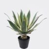 Artificial succulent 30*30*45cm Tequila in PP pot/21 lvs GS-41924002 2025Jan 3,000+ sqm showroom with thousands of artificial flowers, plants & trees ready for global sourcing.